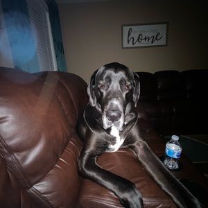 Meet your Posher, Lisa